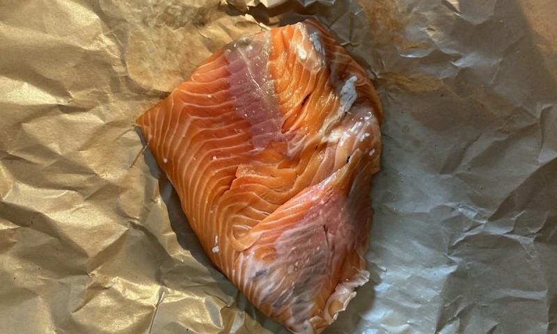 Close up photo of a spoiled salmon meat